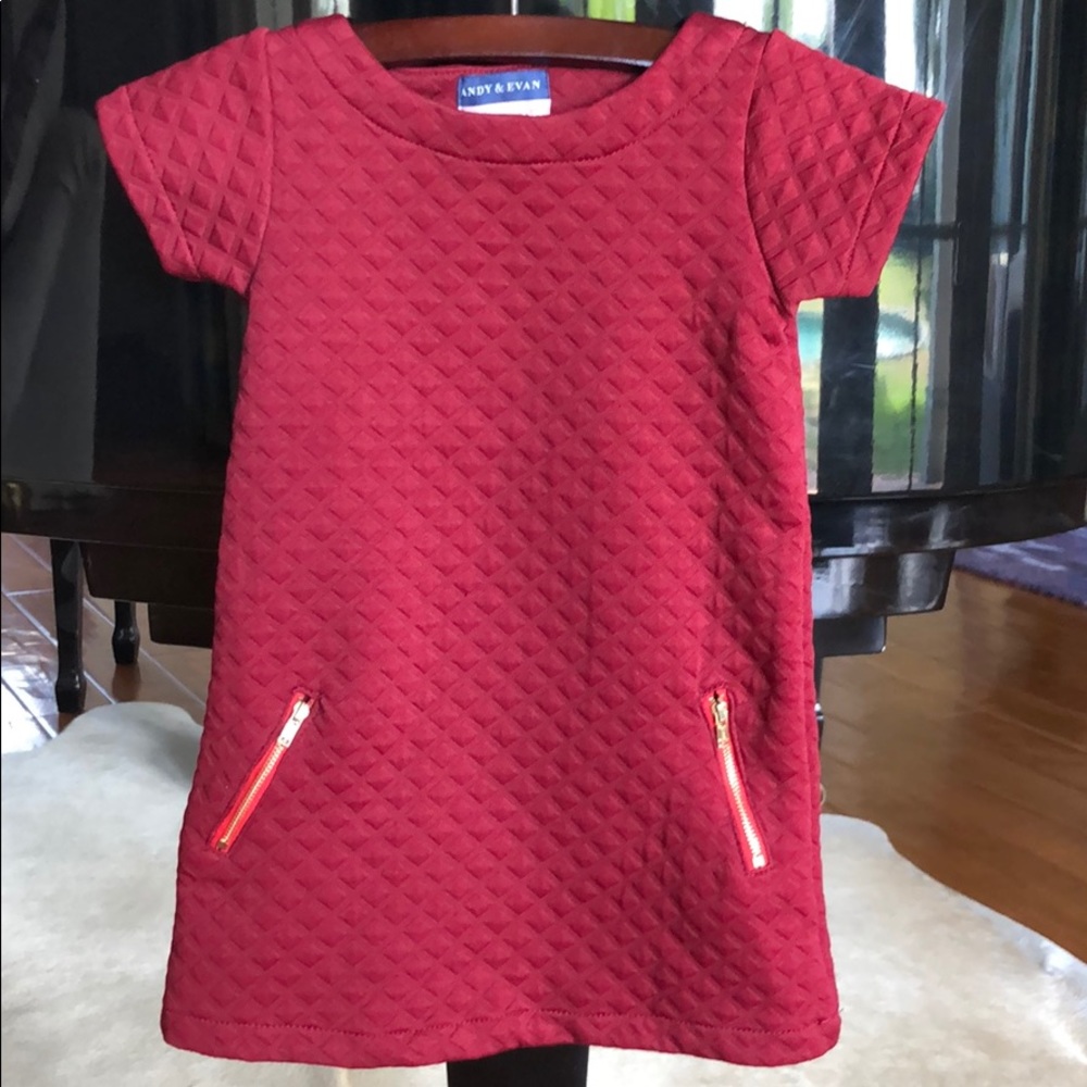Andy & Evan 3T burgundy dress with zipper detail